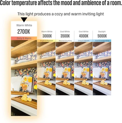 Miniatura 11 de Westinghouse Contempra Trio - Ventilador de techo de 42 pulgadas con luz, ventilador de techo de níquel cepillado para interiores para habitaciones