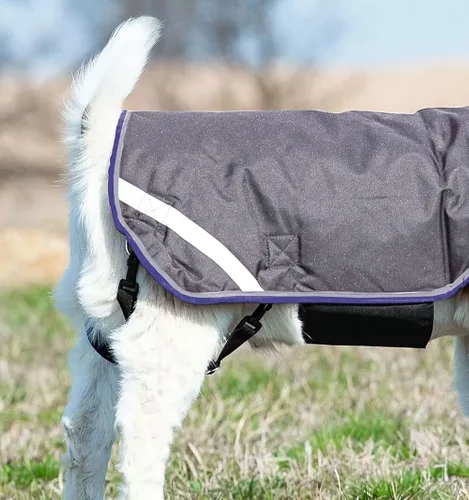 Miniatura 4 de Horseware® Chamarra de cabra (100g ligera)