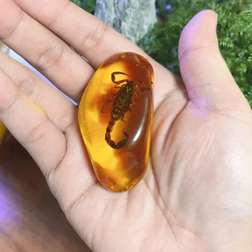 Miniatura 3 de 8 piezas de fósiles ámbar con insectos, muestras de piedras de cristal para decoración del hogar, colecciones, colgantes ovalados, colgante