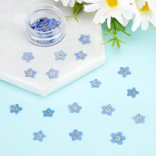 Miniatura 7 de Nuanchu Flores secas naturales "Don't Forget Me", flores secas prensadas reales para joyería, fabricación de velas, tarjetas, adornos de resina