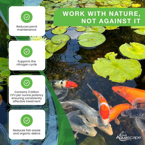 Miniatura 4 de Aquascape - Bacterias secas y beneficiosas para las características del estanque y del agua., Blanco