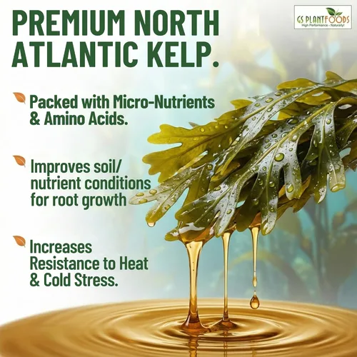 Miniatura 2 de GS Plant Foods Fertilizante Líquido de Kelp – Adecuado para Cultivo Orgánico, Concentrado de Algas Marinas Listado por OMRI para Césped, Jardines