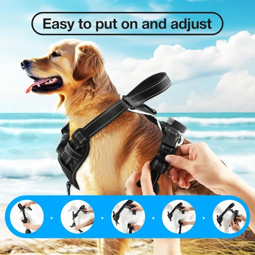 Miniatura 6 de MASBRILL Arnés para perro con luz LED - Arnés LED para perro sin tirones, recargable, ajustable, chaleco arnés iluminado para perros pequeños