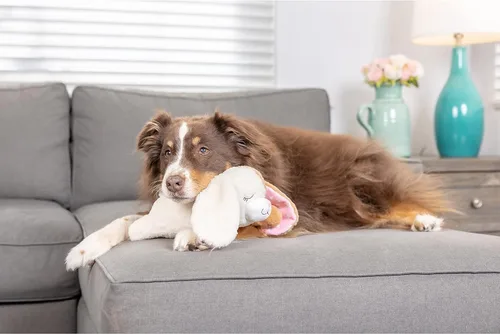 Miniatura 7 de Downtown Pet Supply Heartbeat - Juguete para cachorros con pulso, juguete cómodo de conejo de peluche para perros ansiosos con latido cardíaco