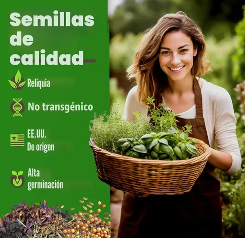 Miniatura 2 de HOME GROWN Paquete Variado de Semillas de Hierbas Premium - 20 Semillas de Hierbas Reliquia para Plantar - Más de 6,000 Semillas sin OGM