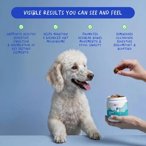 Miniatura 3 de Probióticos para perros - Apoyo digestivo y diarrea - 90 masticables suaves - Formulado por veterinarios - Salud intestinal y apoyo inmunológico