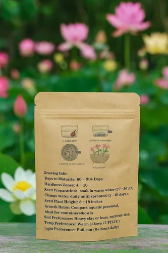 Miniatura 2 de 30 semillas de loto de primera calidad para plantar en el agua, cuenco de flores de colores mixtos para estanques, bonsái, jardines acuáticos