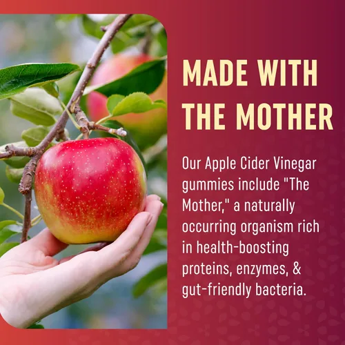 Miniatura 5 de Gomitas orgánicas de vinagre de sidra de manzana para la digestión, desintoxicación y apoyo saludable de la función inmunológica 1000 mg de ACV