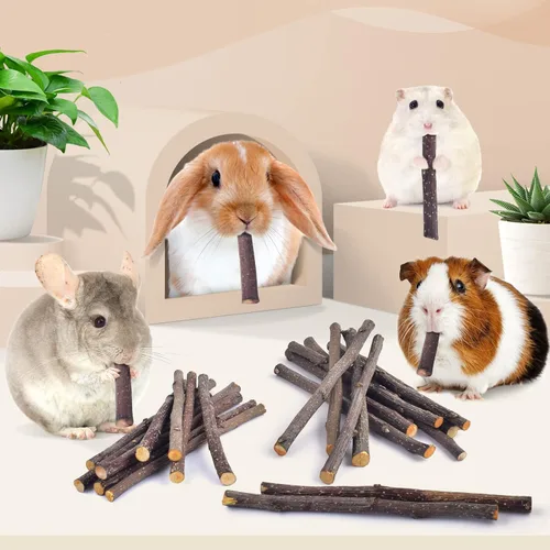 Miniatura 6 de Bissap Palitos de manzana para conejos, juguetes naturales para masticar conejitos y golosinas para Chinchilla, conejillo de indias, hámster, jerbo
