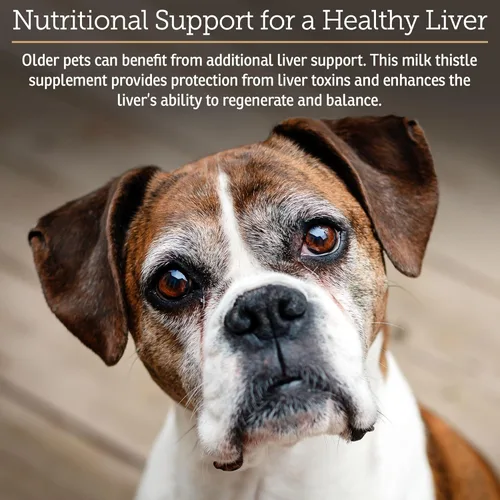 Miniatura 2 de Rx Vitamins Soporte hepato líquido para perros y gatos, suplemento de apoyo hepático con cardo mariano para perros (silimarina y silibinina)