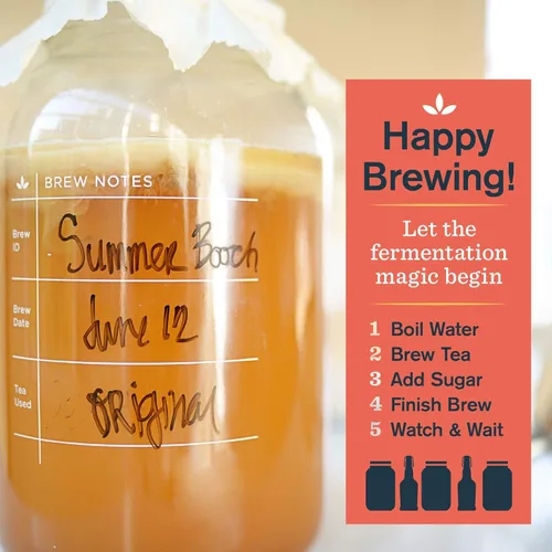 Miniatura 7 de Kombucha Kit principal para fermentar