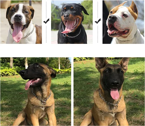 Miniatura 6 de Collar de estrangulador para perros, collar de martingala para perros, 22 pulgadas, collares de perro de 0.118 in para perros pequeños, medianos