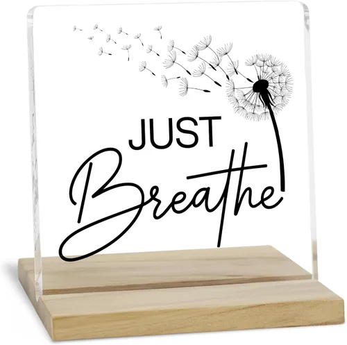 Miniatura 9 de Regalos de aliento para mujeres, señal decorativa, placa acrílica "You Are Amazing", señal "You Are Loved" de JAXXERO