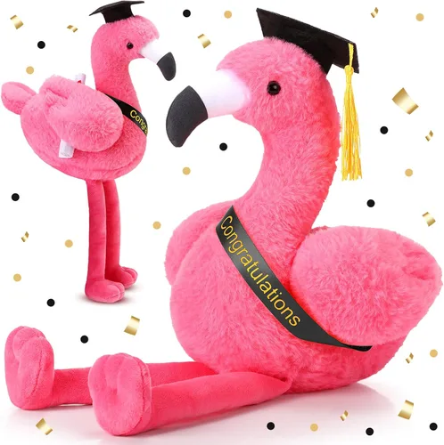 Miniatura 11 de Chalyna Oso de graduación de 10 pulgadas con sombrero, diploma y girasol, regalo de preescolar para niños, estudiantes, amigos y familiares