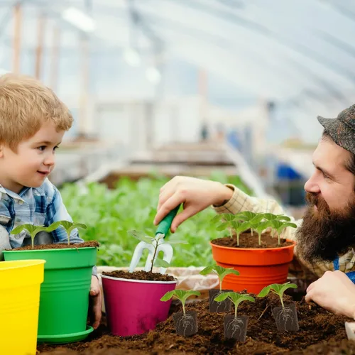 Miniatura 7 de Amyhill Esponjas hidropónicas, cápsulas de iniciación de crecimiento, tapones de esponja de crecimiento orgánico para cultivo de plantas (100 piezas)