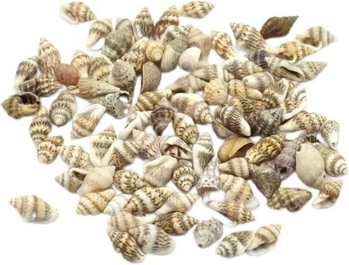 Miniatura 9 de Acuario de concha natural para pecera, cuentas hechas a mano para hacer joyas, manualidades, pulsera, accesorio