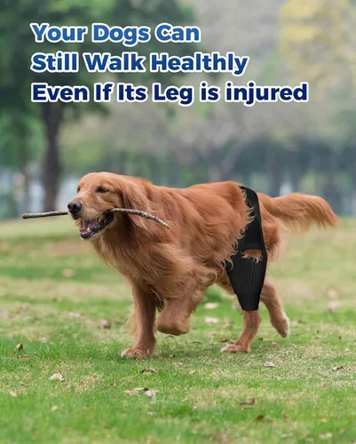 Miniatura 2 de Rodillera para perro, soporte de ACL para perro para desgarro delantero y trasero, patas traseras traseras, desgarro de ligamento cruzado anterior
