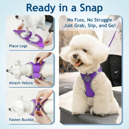 Miniatura 3 de Kruz - Arnés para perro (pecho de 13.5 a 14 pulgadas, peso de 4 a 6 libras) Athletica chaleco ajustable resistente sin estrangulamiento para perros