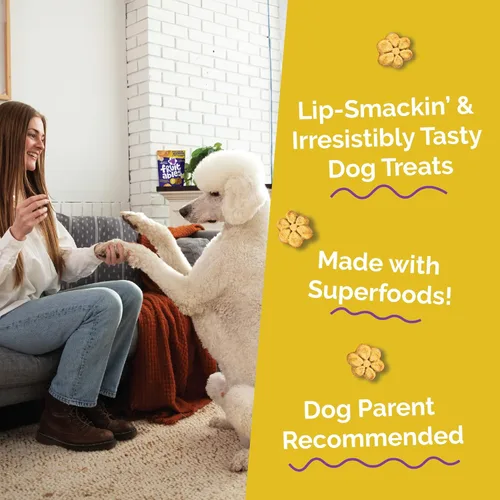 Miniatura 3 de Fruitables Golosinas horneadas para perros, golosinas saludables de calabaza para perros, bajas en calorías y deliciosas, sin trigo, maíz o soja