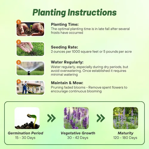Miniatura 4 de Outsidepride 5000 semillas perennes Penstemon Rocky Mountain Wild Flower Seeds para plantar