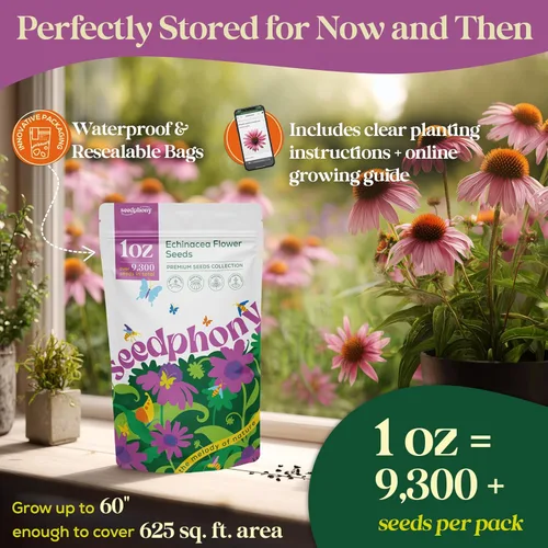Miniatura 3 de Seedphony Paquete de semillas de equinácea de 1 onza – 9,300 semillas de equinácea sin OMG para plantar, flores perennes en paquete de semillas