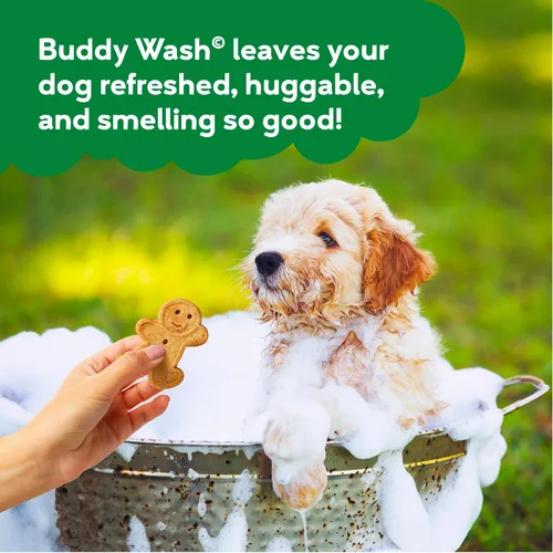 Miniatura 5 de Buddy Grooming Wash Champú 2 en 1 para perros, té verde y bergamota, botella de 16 onzas