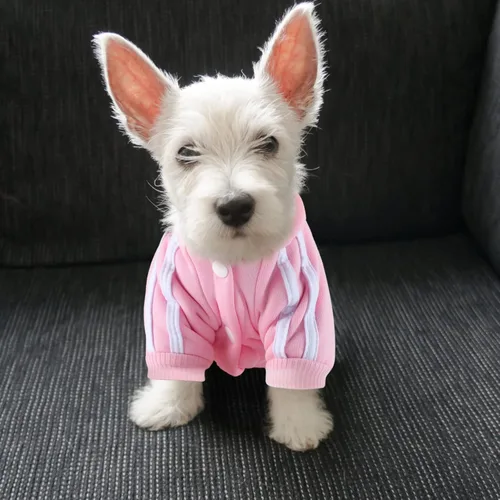 Miniatura 4 de Sudadera con capucha para perros de 4 patas, mono para perros pequeños, suéter de algodón para perros, abrigo de invierno para mascotas, ropa