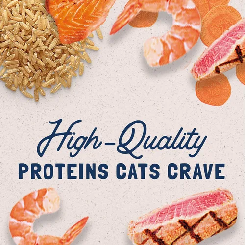 Miniatura 4 de Natural Balance Original Ultra - Alimento enlatado húmedo para gatos, receta de atún y camarones, 5.5 onzas (paquete de 24)