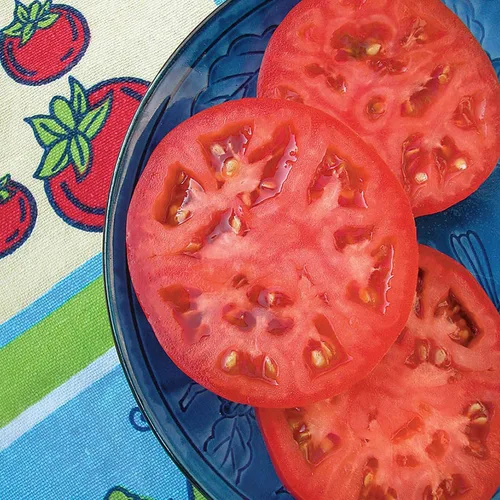 Miniatura 2 de Bonnie Plants Tomate rojo beefsteak 19.3 oz. paquete de 4