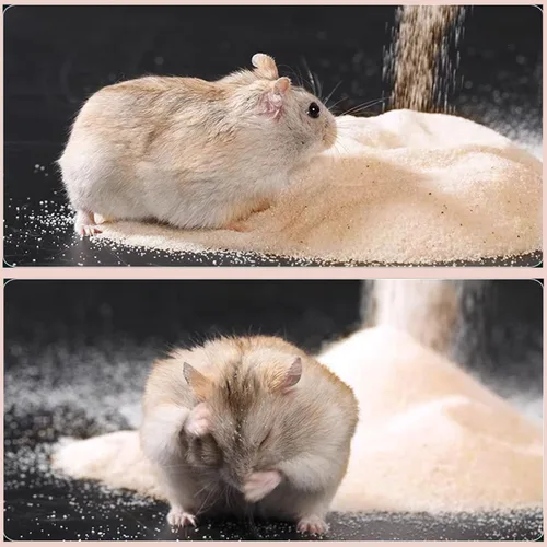 Miniatura 4 de DR.DUDU Arena de baño para hámster, 6.6 libras, libre de polvo, arena del desierto o arena para orinal para hámster, chinchillas, jerbos, ratones