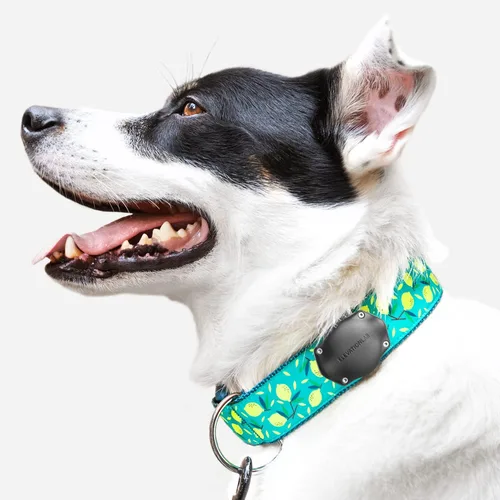 Miniatura 8 de Elevation Lab Soporte para collar de perro AirTag - Impermeable (paquete de 2) Seguro, duradero, se adapta a cualquier ancho de cuello, no se