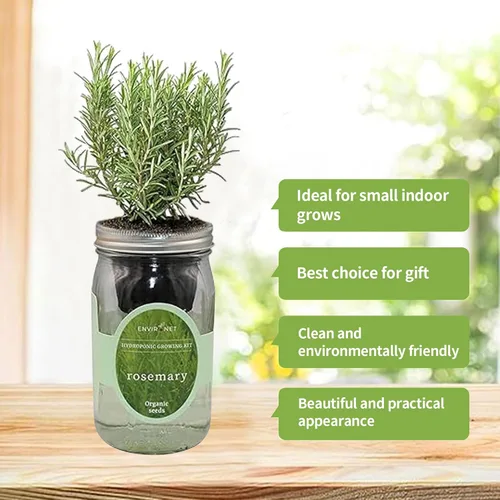 Miniatura 3 de Kit de cultivo hidropónico de hierbas Environet, kit de inicio de jardín de hierbas en tarro de vidrio Mason para interiores, jardín de hierbas