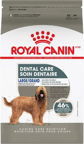 Royal Canin Canine Care Nutrition - Alimento seco para perros adultos, bolsa de 30 libras