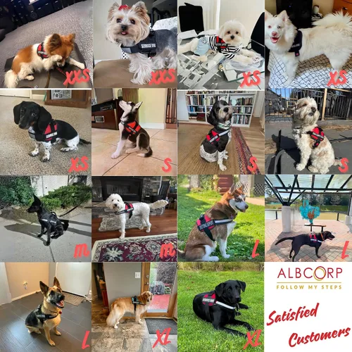 Miniatura 6 de ALBCORP Chaleco de apoyo emocional para perro, arnés reflectante, poliéster tejido y nailon, cómodo acolchado de malla, tamaños de XXS a XL, parches