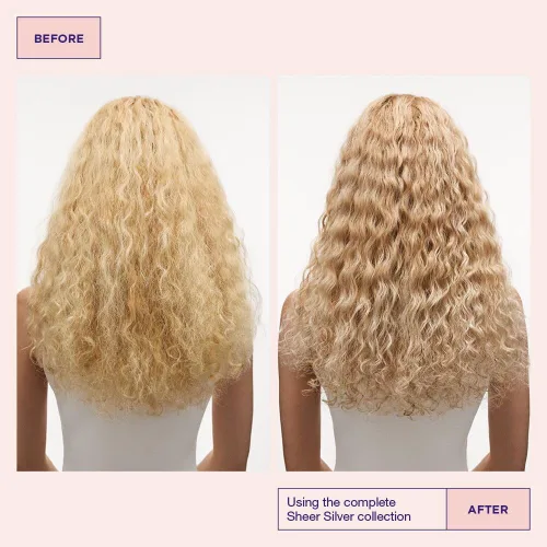 Miniatura 4 de Maria Nila Sheer Silver, Silver/Purple Hair Mask, Neutralizes Brassy Yellow/Golden Shades in Blonde, White & Grey Hairs, Violet Pigments Gives Cool