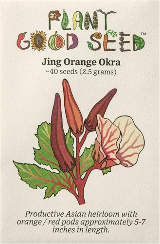 Miniatura 7 de Plant Good Seed Semillas orgánicas de Okra Cajun Jewel – Paquete de 40, semillas tradicionales para plantar verduras – Suministros de jardinería