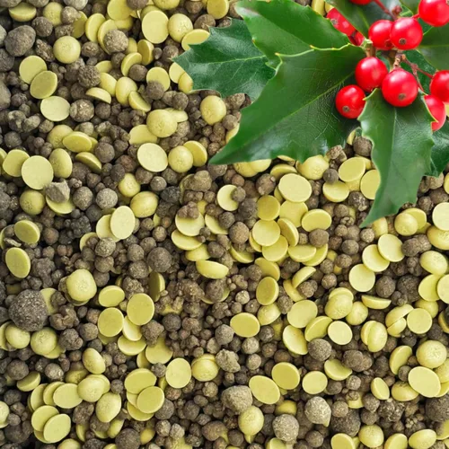 Miniatura 11 de Gardenwise Fertilizante Soluble en Agua 20-20-20 – Polvo para Alimento Líquido de Plantas para Plantas de Interior y Exterior, Orquídeas, Vegetales