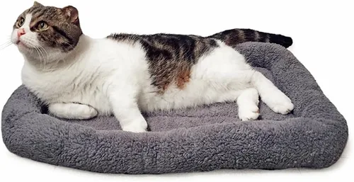 Miniatura 8 de Cama de algodón LESYPET para perros pequeños, lavable , gris