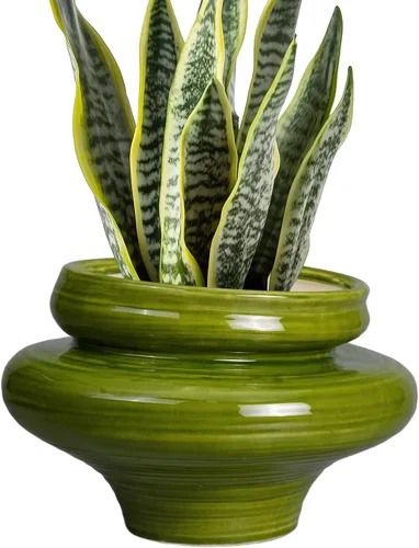 Miniatura 17 de Macetas de cerámica para plantas de 10.6 pulgadas, macetas de bonsái para plantas de interior con orificio de drenaje, maceta decorativa al aire