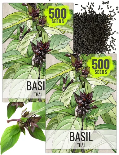 Miniatura 40 de Seed Needs Semillas de albahaca para plantar hierbas de albahaca tailandesa, sin OMG y semillas de hierbas sin tratar para cultivar un jardín