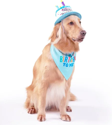 Miniatura 7 de Juego de sombrero y bandana de cumpleaños para perros grandes, sombreros ajustables para fiesta de cumpleaños para perros grandes, decoración