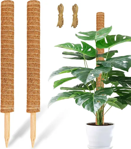 JJGoo Poste de musgo para plantas Monstera, paquete de 2 postes de soporte para plantas de 23.6 pulgadas, poste de tótem de fibra de coco extensible