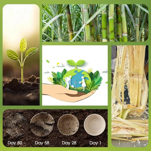 Miniatura 3 de ECOLipak Cuencos de papel desechables compostables grandes de 32 onzas, paquete de 70 cuencos de sopa de caña de azúcar biodegradables con bagazo