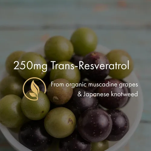 Miniatura 3 de NAOMI Resveratrol orgánico 250 mg, sin OMG, sin gluten, suplemento antioxidante vegano, apoya la salud cardiovascular y celular, envejecimiento