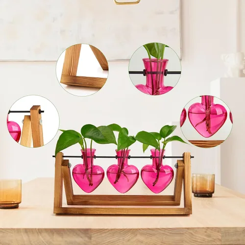 Miniatura 3 de XXXFLOWER Estaciones de propagación de terrarios de plantas, regalos únicos para mujeres, esposa, mamá, amantes de las plantas, 3 jarrones
