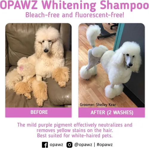 Miniatura 5 de OPAWZ 05 Champú morado blanqueador para perros y gatos, elimina de forma segura las manchas amarillas, sin blanqueador, peróxido ni sulfato