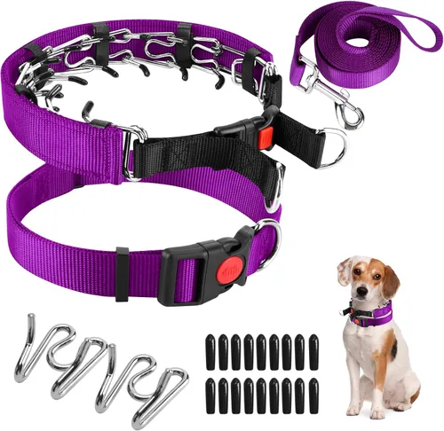 Miniatura 18 de Collar de entrenamiento de puntas con puntas cómodas y hebilla de cierre rápido – Collar de pellizco para perro con cubierta de nailon