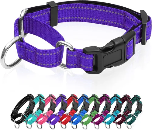 Miniatura 9 de Collares de perro Martingala reflectantes. Collar de perro con hebilla de liberación rápida. Collar ajustable de nailon transpirable acolchado suave