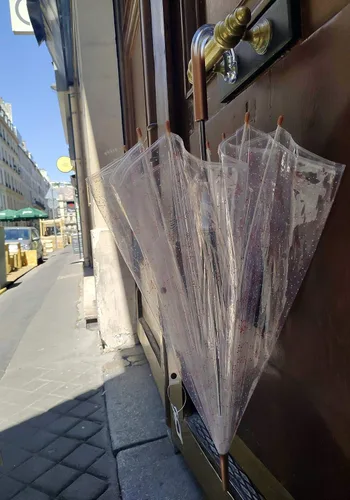 Miniatura 5 de SMATI París - Paraguas transparente de jaula para pájaros con diseño de constelación - Transparente Resistente al viento Apertura automática Mango