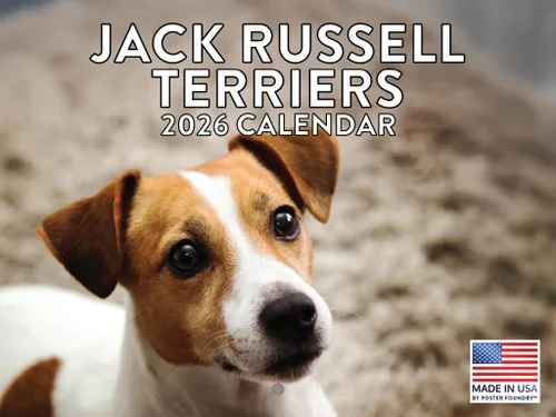 Miniatura 151 de Calendario de pared mensual 2025 Great Dane de 12 meses, fabricado en Estados Unidos